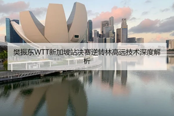樊振东WTT新加坡站决赛逆转林高远技术深度解析
